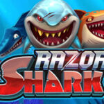 Main Slot Razor Shark, Gacor Abis! Bikin Auto Sultan